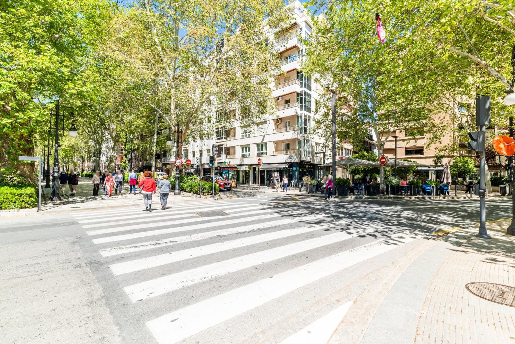 Encantador Piso Pleno Centro A Pie De Semana Santa Y Cerca De La Alhambra * Grenada