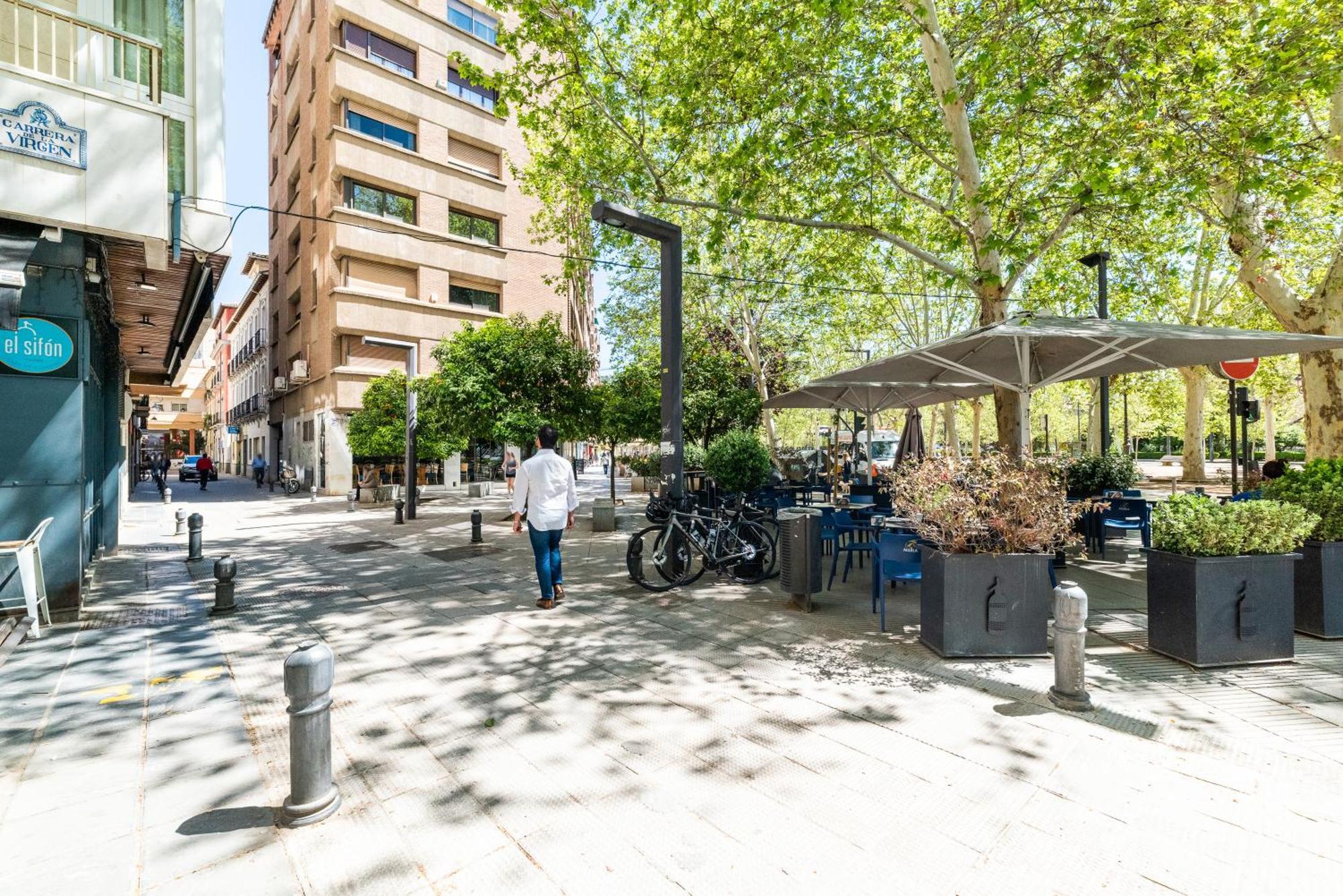 Encantador Piso Pleno Centro A Pie De Semana Santa Y Cerca De La Alhambra Appartement *